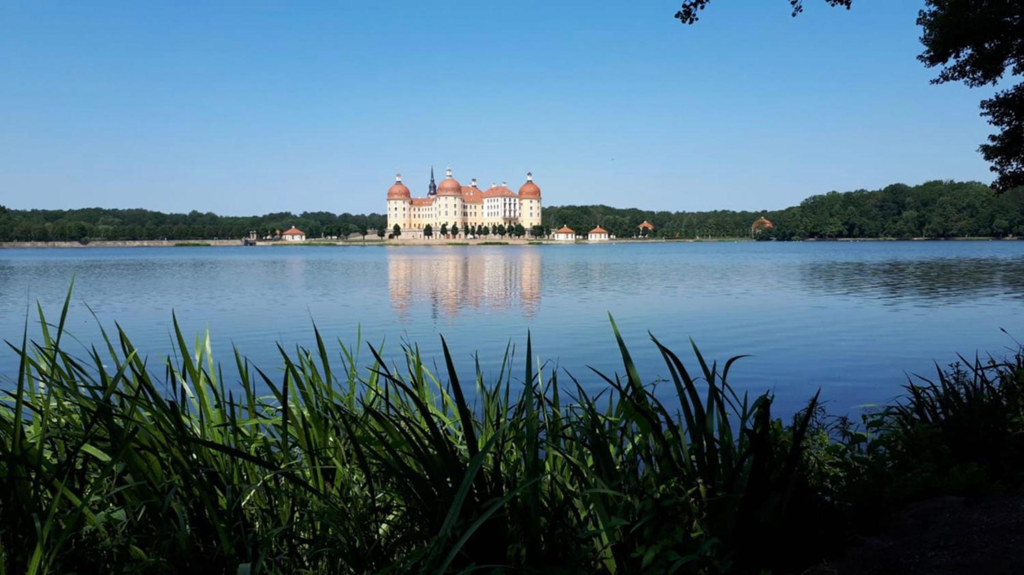 Ferienwohung In Dresden Am Elbhang Экстерьер фото